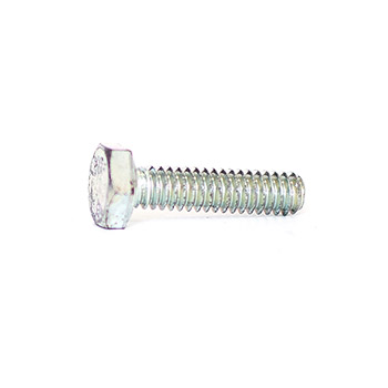 Accessory : Cap Screws 3/4 inch